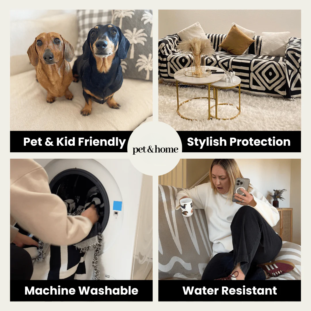 Pet-Friendly Couch Blanket