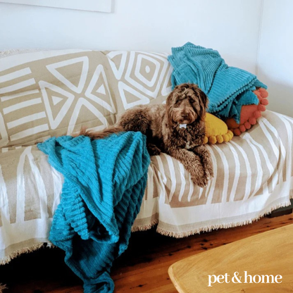 Pet-Friendly Couch Blanket