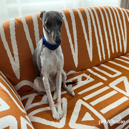 Pet-Friendly Couch Blanket