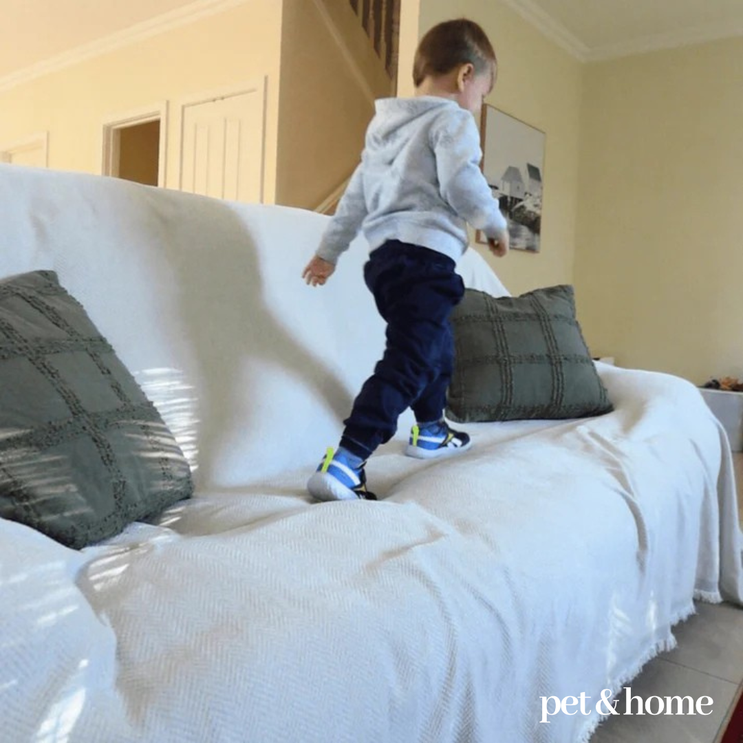 Pet-Friendly Couch Blanket