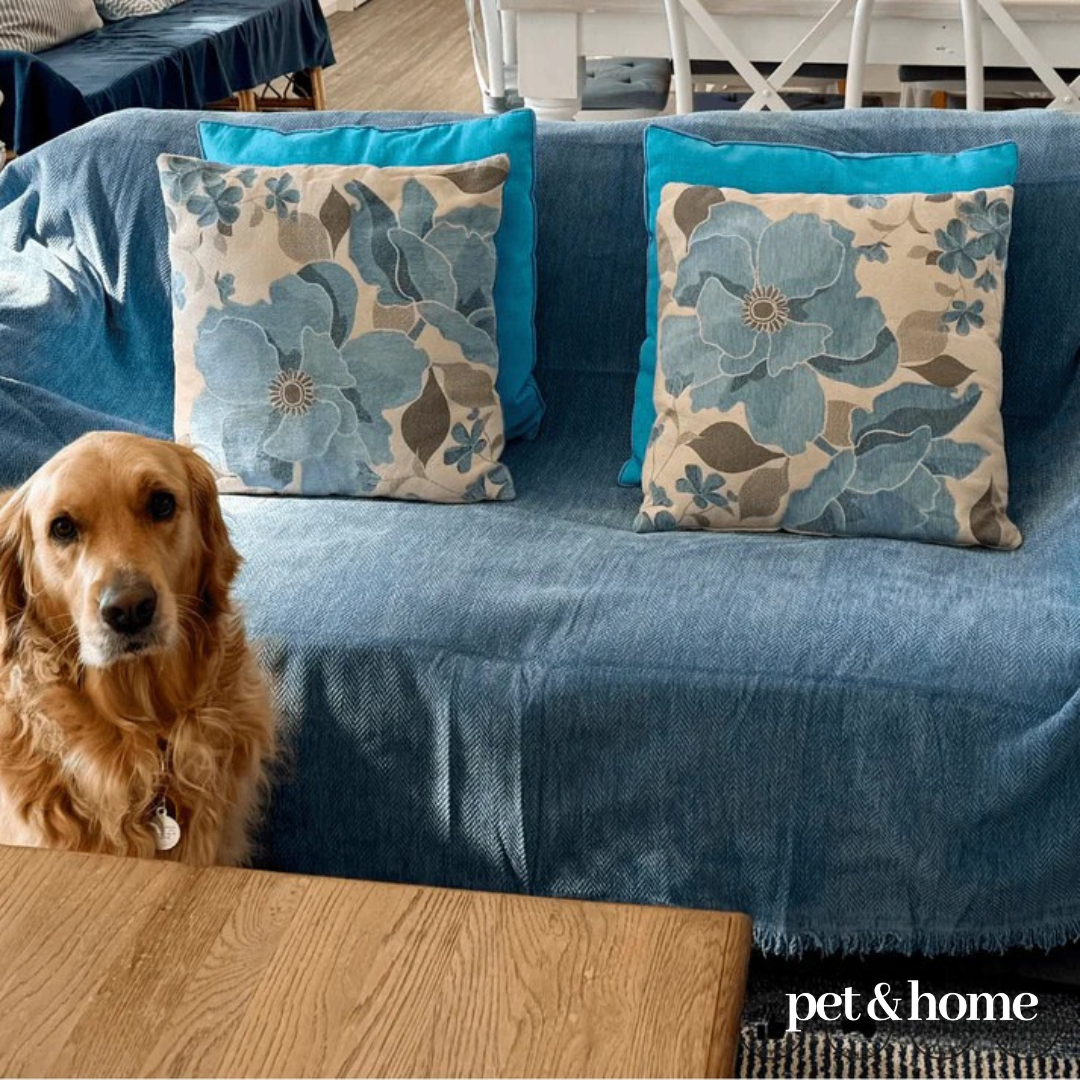 Pet-Friendly Couch Blanket