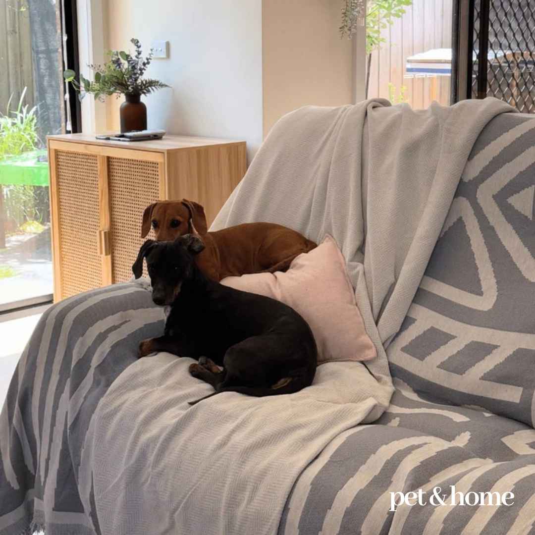 Pet-Friendly Couch Blanket