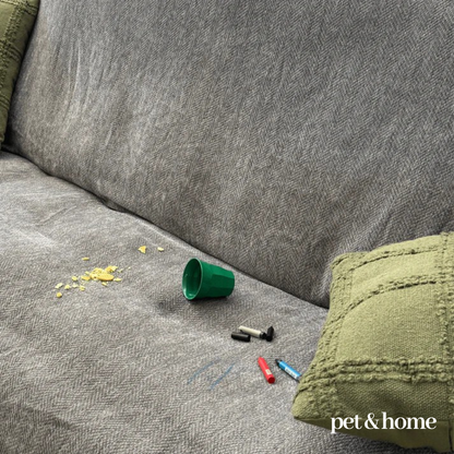 Pet-Friendly Couch Blanket