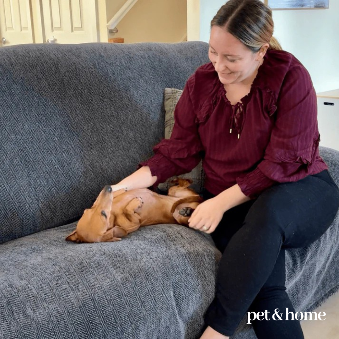 Pet-Friendly Couch Blanket