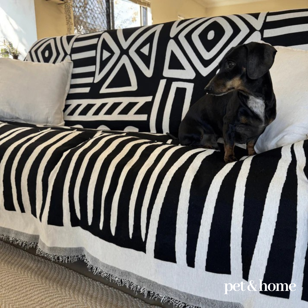 Pet-Friendly Couch Blanket